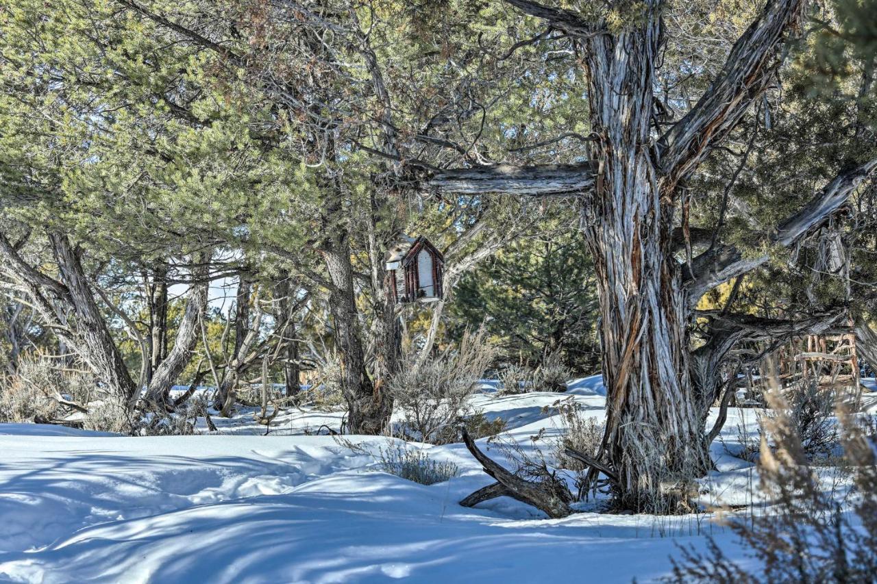 فيلا Eagles Landing A Quiet Colorado Mountain Escape المظهر الخارجي الصورة